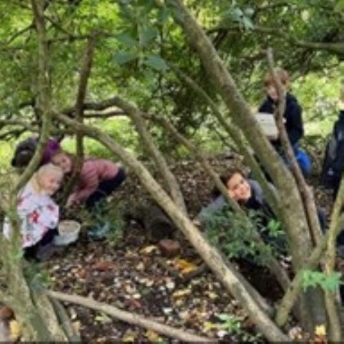 Geography @ Wolseley Centre